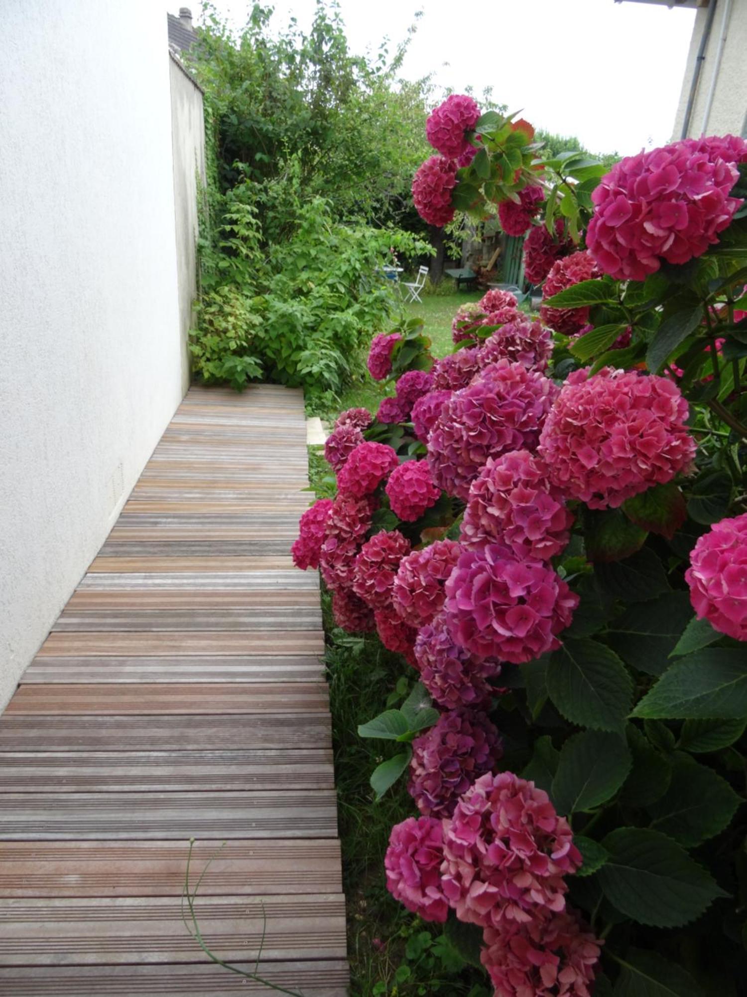 Maison D'Hotes Les Roses Tremieres Saclay Eksteriør billede